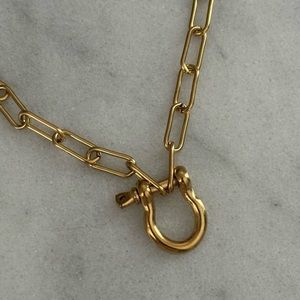 COPY - Gold Carabiner Clasp Charm Chain Link Necklace  

Brand New
